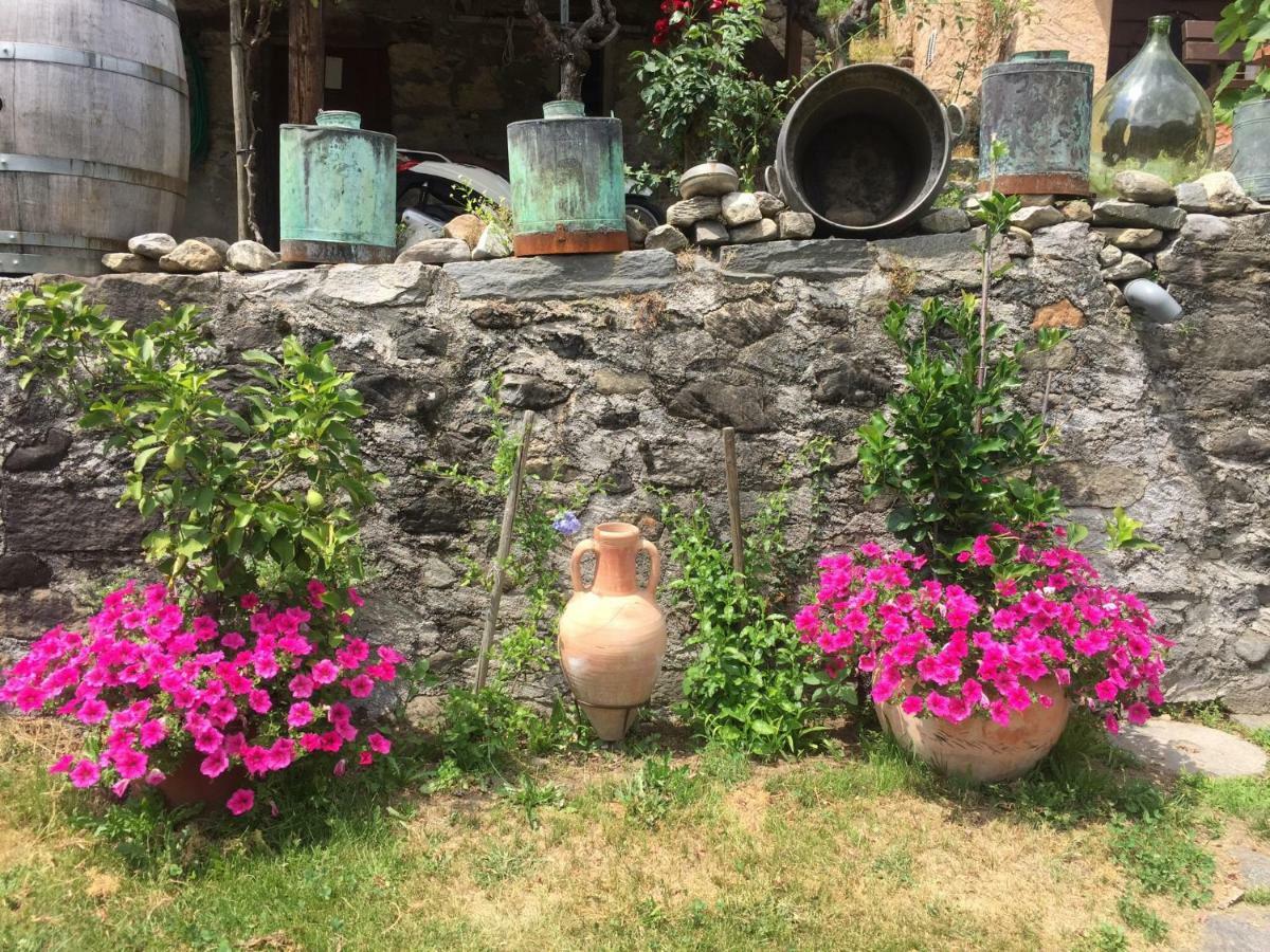 Casa Immersa Nel Vigneto Roveredo Exterior foto